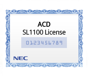 ACD (Automatic Call Distribution) License 1100091